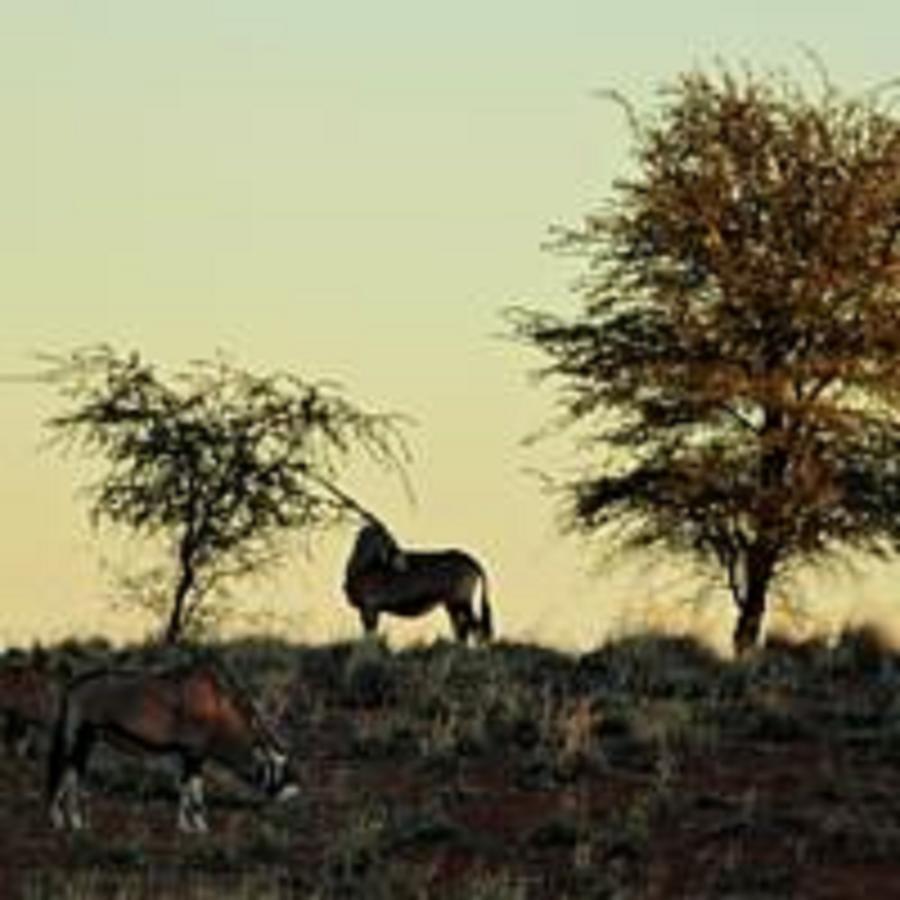 Gondwana Kalahari Farmhouse Stampriet エクステリア 写真
